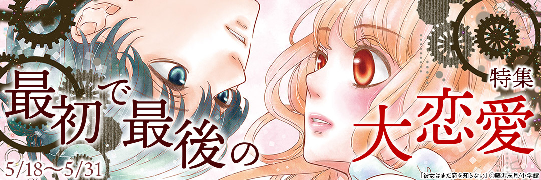 小学館_最初で最後の大恋愛▼特集