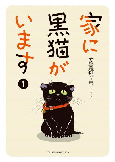 家に黒猫がいます