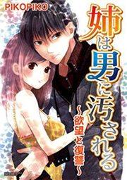 姉は男に汚される～欲望と復讐～