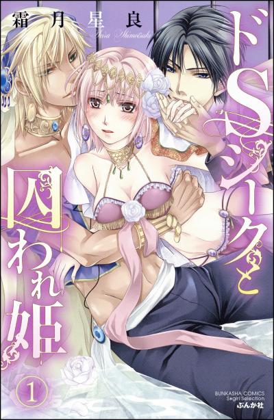 ドSシークと囚われ姫(分冊版)