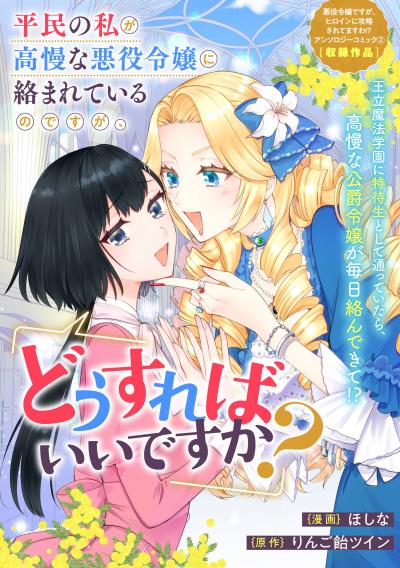 平民の私が高慢な悪役令嬢に絡まれているのですが、どうすればいいですか?