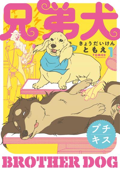 兄弟犬 プチキス