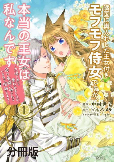 隣国に輿入れした王女付きモフモフ侍女ですが、本当の王女は私なんです 分冊版