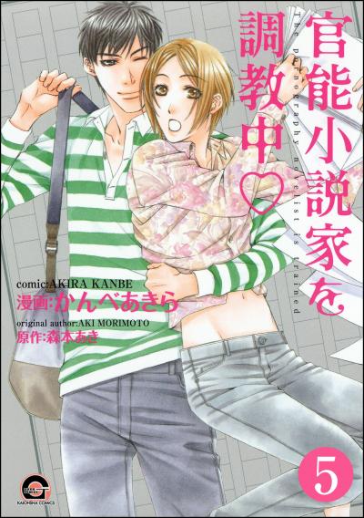 官能小説家を調教中v(分冊版)