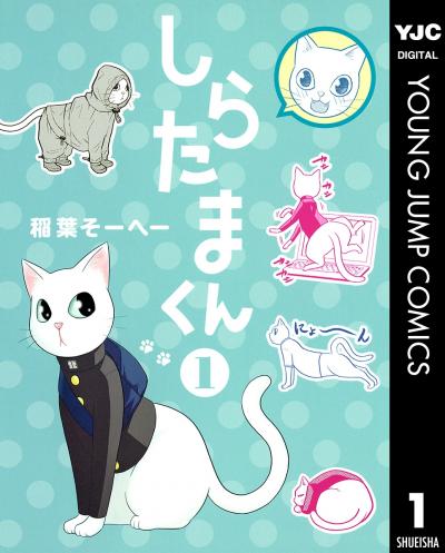 しらたまくん