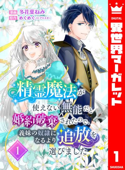 精霊魔法が使えない無能だと婚約破棄されたので、義妹の奴隷になるより追放を選びました