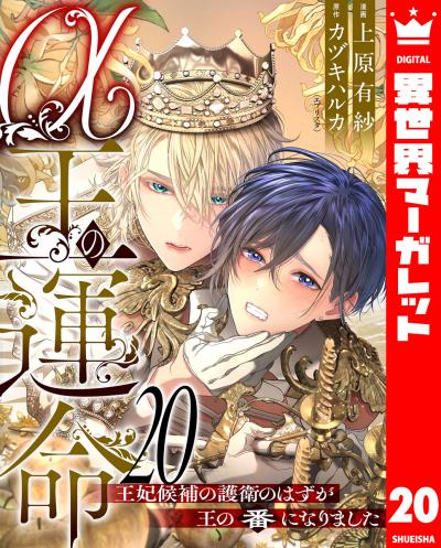 α王の運命~王妃候補の護衛のはずが王の番になりました~