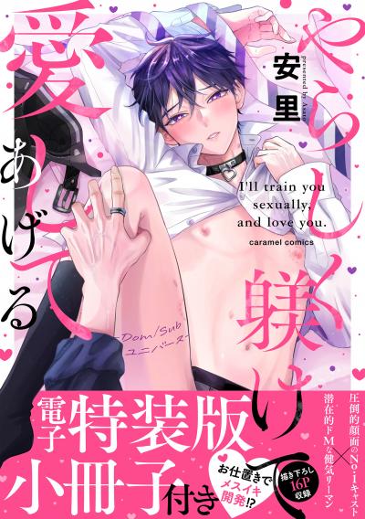 やらしく躾けて愛してあげる-Dom/Subユニバース-【単行本版/電子特装版小冊子付き】